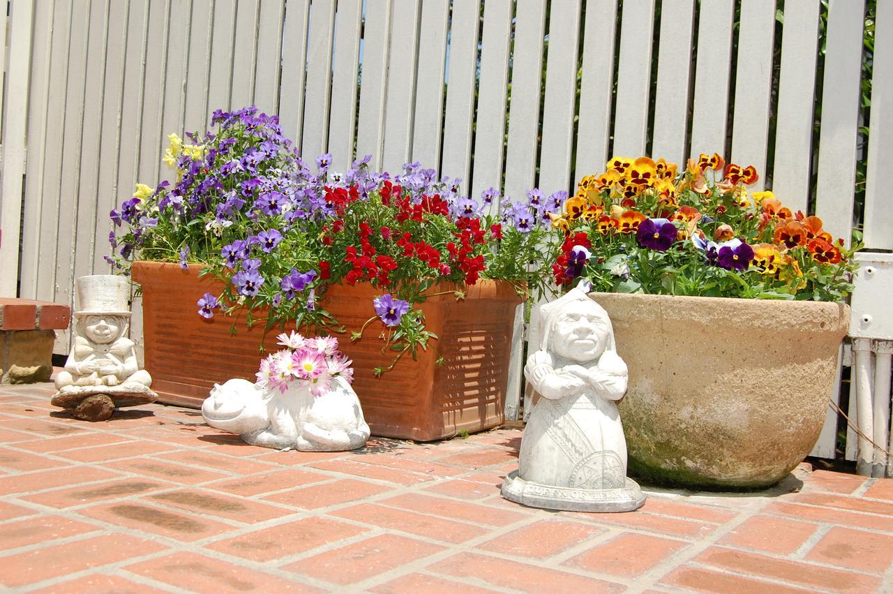 Cheshire Cat Inn & Cottages Santa Barbara Zewnętrze zdjęcie