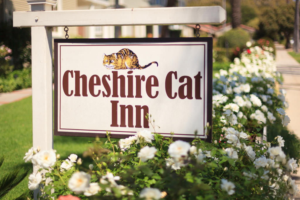 Cheshire Cat Inn & Cottages Santa Barbara Zewnętrze zdjęcie