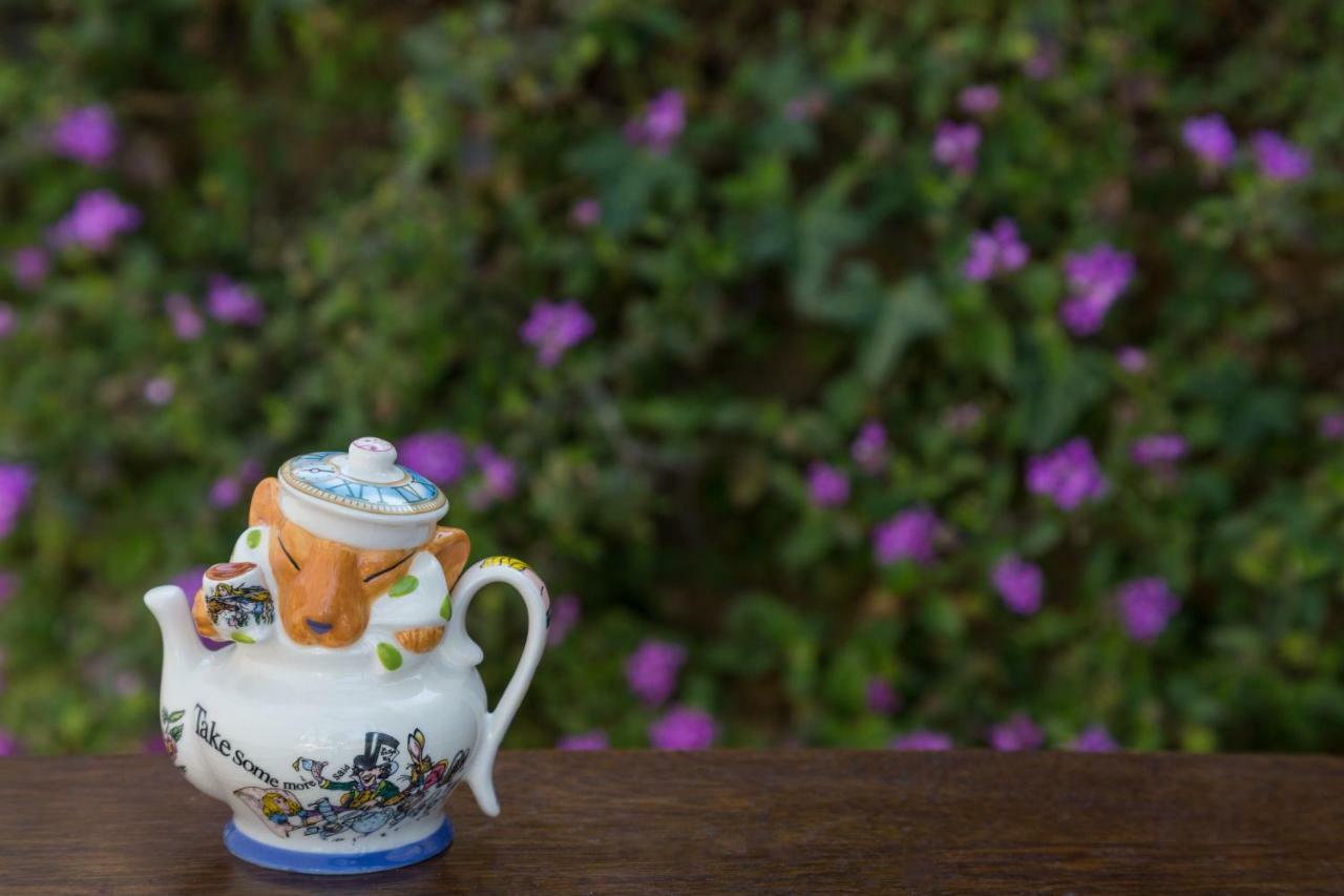Cheshire Cat Inn & Cottages Santa Barbara Zewnętrze zdjęcie